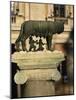 The Wolf with Romuls and Remus, Rome, Italy-Angelo Cavalli-Mounted Photographic Print