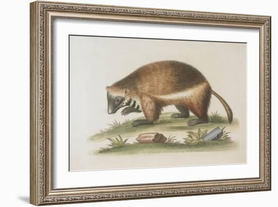 The Wolverene-null-Framed Giclee Print