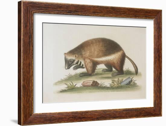 The Wolverene-null-Framed Giclee Print