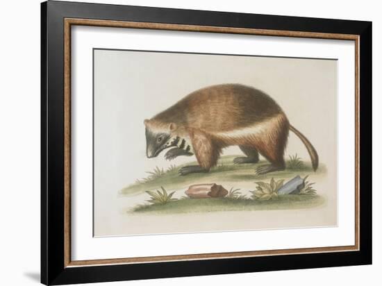 The Wolverene-null-Framed Giclee Print