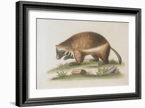 The Wolverene-null-Framed Giclee Print