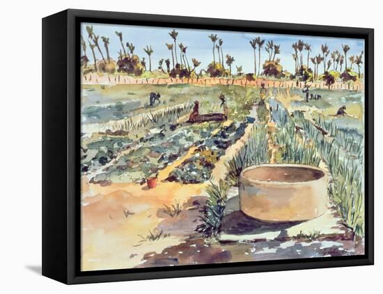 The Women's Garden, Senegal, West Africa, 1997-Tilly Willis-Framed Premier Image Canvas