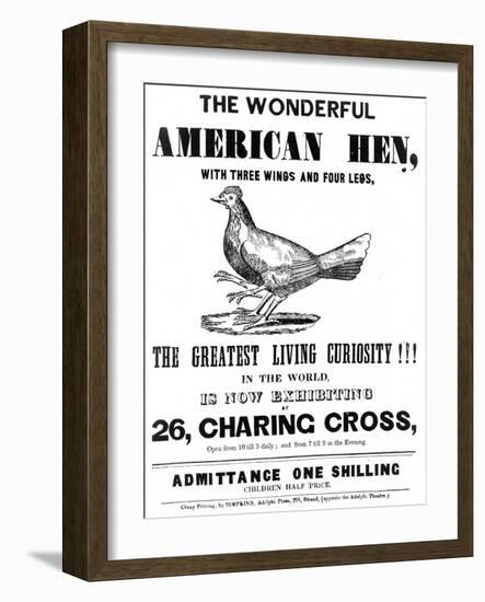 The Wonderful American Hen-null-Framed Art Print