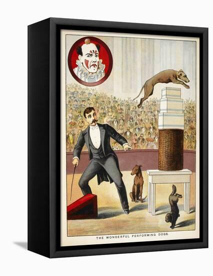 The Wonderful Performing Dogs'. an Act Involving Dogs in a Circus Ring-null-Framed Premier Image Canvas