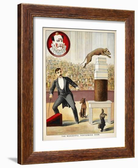 The Wonderful Performing Dogs'. an Act Involving Dogs in a Circus Ring-null-Framed Giclee Print