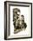 The Wonderful Story of Britain: Oliver Cromwell-Peter Jackson-Framed Giclee Print