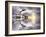 The Wonderfully Funny Puffin with a Calm Reflecting Landscape-Stephen Tucker-Framed Photographic Print