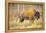 The Wood Bison-Richard Wright-Framed Premier Image Canvas