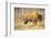 The Wood Bison-Richard Wright-Framed Photographic Print