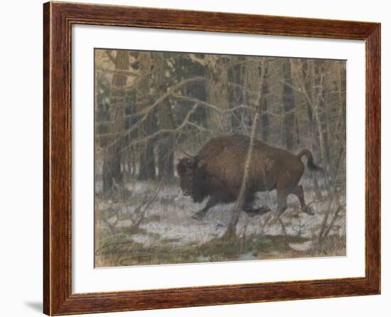 The Wood Bison-Evgeny Alexandrovich Tichmenev-Framed Giclee Print