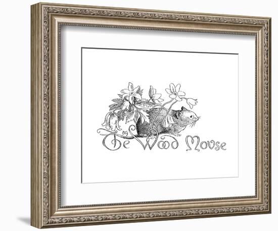 The Wood Mouse-Arthur Hughes-Framed Premium Giclee Print