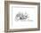 The Wood Mouse-Arthur Hughes-Framed Premium Giclee Print