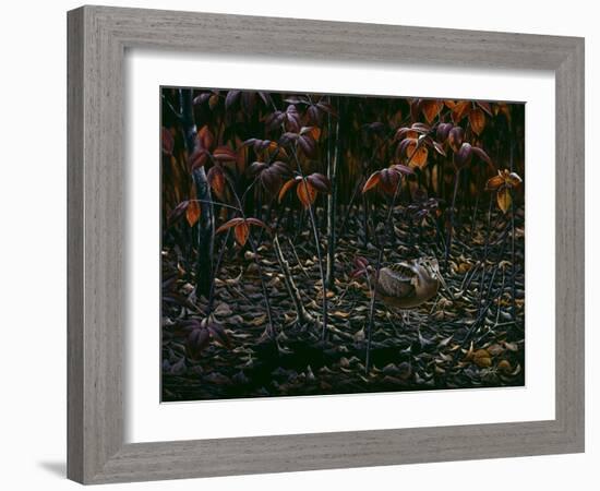 The Woodcocks World-Wilhelm Goebel-Framed Giclee Print