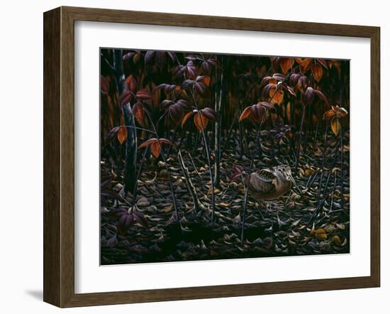 The Woodcocks World-Wilhelm Goebel-Framed Giclee Print