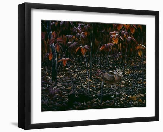 The Woodcocks World-Wilhelm Goebel-Framed Giclee Print