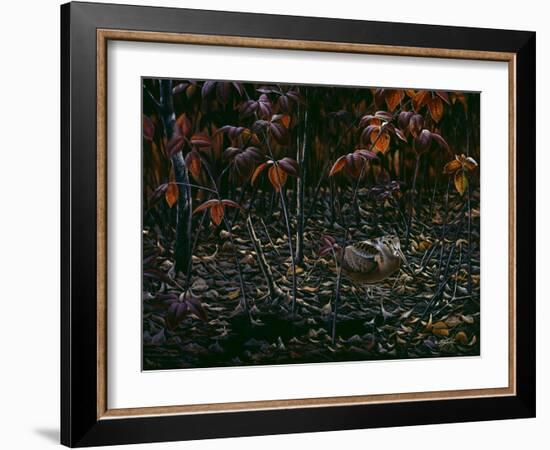 The Woodcocks World-Wilhelm Goebel-Framed Giclee Print