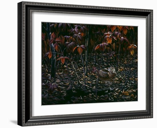 The Woodcocks World-Wilhelm Goebel-Framed Giclee Print