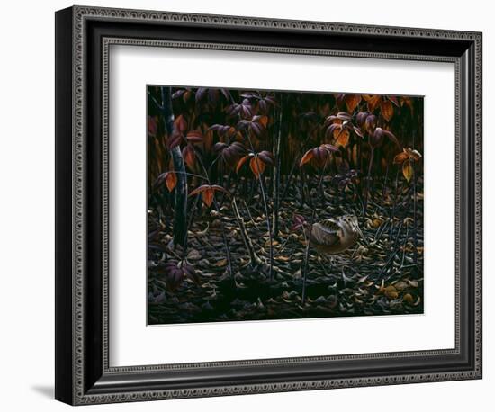 The Woodcocks World-Wilhelm Goebel-Framed Giclee Print