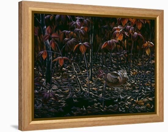 The Woodcocks World-Wilhelm Goebel-Framed Premier Image Canvas