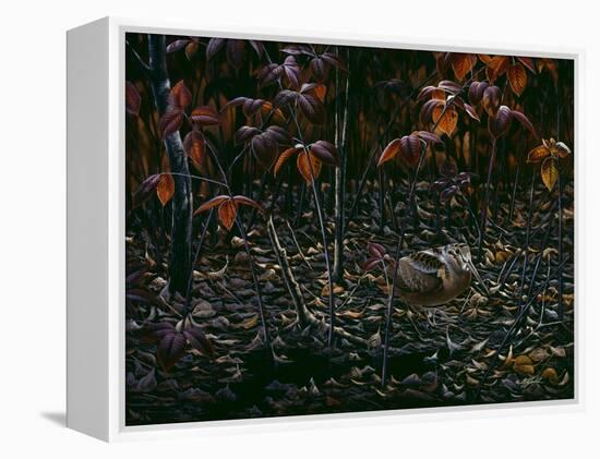 The Woodcocks World-Wilhelm Goebel-Framed Premier Image Canvas