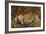 The Woodcutter-John Anster Fitzgerald-Framed Giclee Print