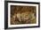 The Woodcutter-John Anster Fitzgerald-Framed Giclee Print