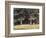 The Wooded Landscape, c.1900-Edward John Poynter-Framed Giclee Print