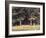 The Wooded Landscape, c.1900-Edward John Poynter-Framed Giclee Print