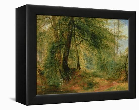 The Woodland Mirror, 19Th Century-Richard Redgrave-Framed Premier Image Canvas