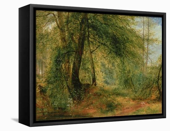 The Woodland Mirror, 19Th Century-Richard Redgrave-Framed Premier Image Canvas