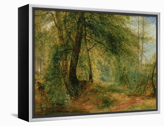 The Woodland Mirror, 19Th Century-Richard Redgrave-Framed Premier Image Canvas