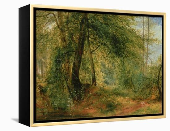 The Woodland Mirror, 19Th Century-Richard Redgrave-Framed Premier Image Canvas