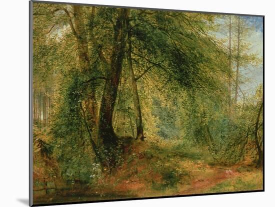 The Woodland Mirror, 19Th Century-Richard Redgrave-Mounted Giclee Print