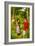 The Woodman's Daughter-John Everett Millais-Framed Art Print