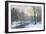 The Woods in Silver and Gold-Anders Andersen-Lundby-Framed Giclee Print