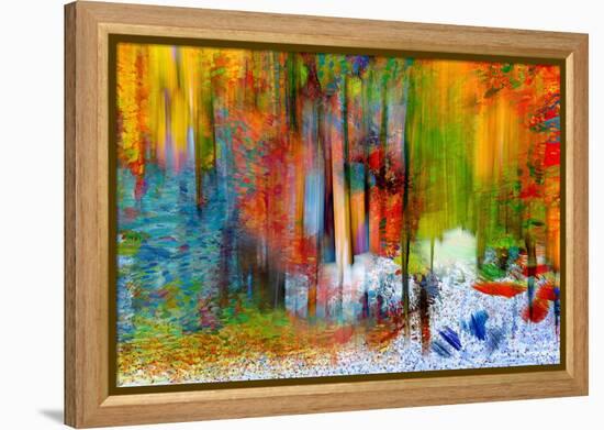 The Woods in Summer-Ursula Abresch-Framed Premier Image Canvas