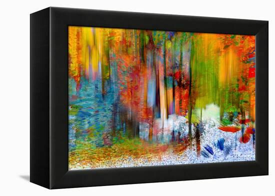 The Woods in Summer-Ursula Abresch-Framed Premier Image Canvas