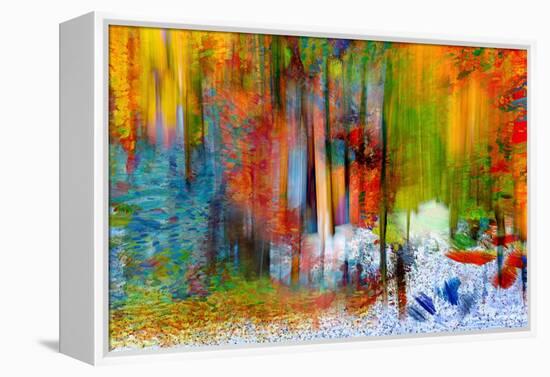 The Woods in Summer-Ursula Abresch-Framed Premier Image Canvas