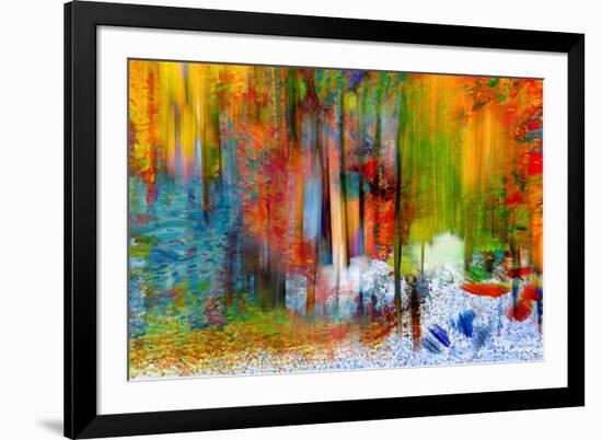 The Woods in Summer-Ursula Abresch-Framed Photographic Print