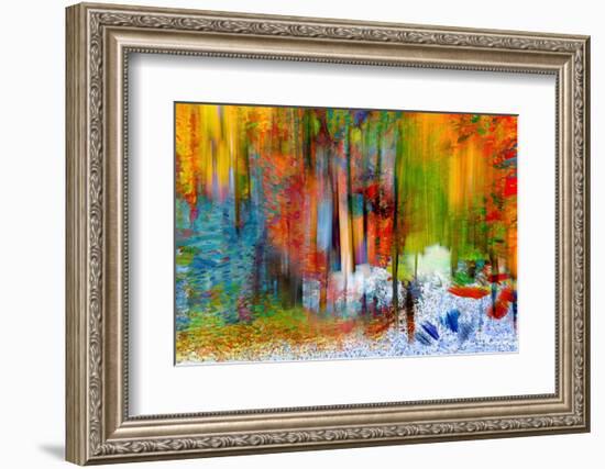 The Woods in Summer-Ursula Abresch-Framed Photographic Print