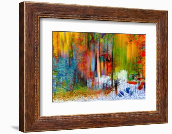 The Woods in Summer-Ursula Abresch-Framed Photographic Print