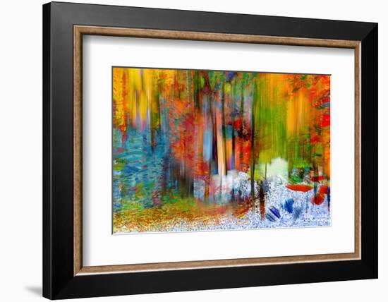 The Woods in Summer-Ursula Abresch-Framed Photographic Print