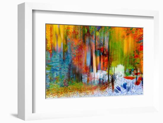 The Woods in Summer-Ursula Abresch-Framed Photographic Print