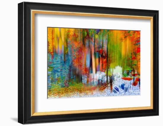 The Woods in Summer-Ursula Abresch-Framed Photographic Print