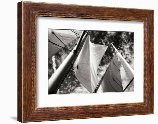 The Woodwind I-Alan Hausenflock-Framed Photographic Print