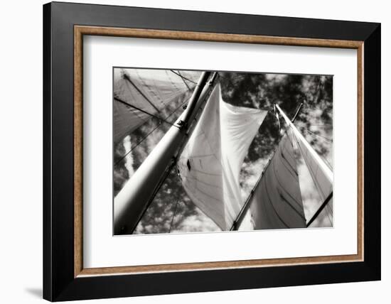 The Woodwind I-Alan Hausenflock-Framed Photographic Print