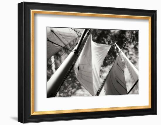 The Woodwind I-Alan Hausenflock-Framed Photographic Print