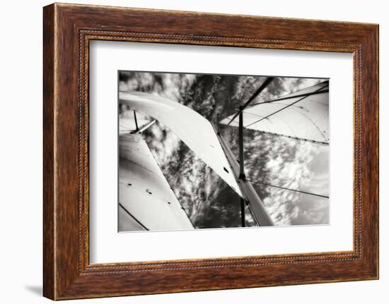 The Woodwind II-Alan Hausenflock-Framed Photographic Print