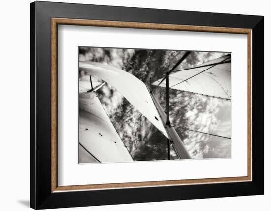 The Woodwind II-Alan Hausenflock-Framed Photographic Print