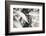 The Woodwind II-Alan Hausenflock-Framed Photographic Print